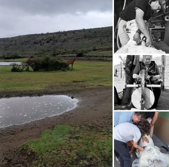 Cabalgata familiar en la cordillera de Nirihuau