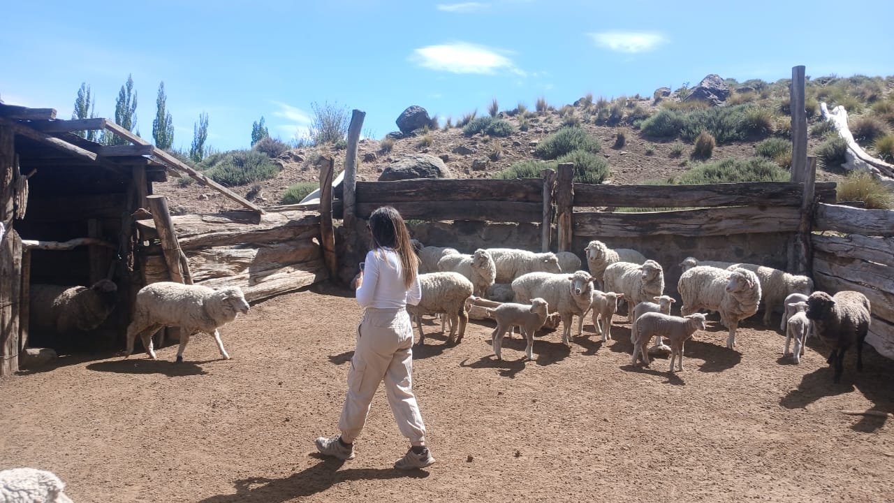 Cabalgatas al amanecer en la estepa de Villa Llanquín