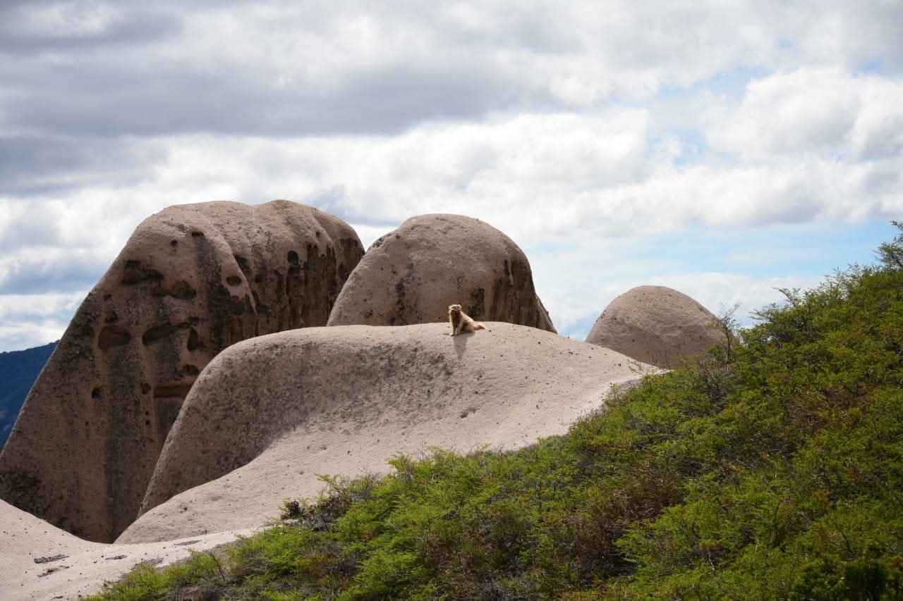 Sendero iluminado por el sol en la estepa patagónica
