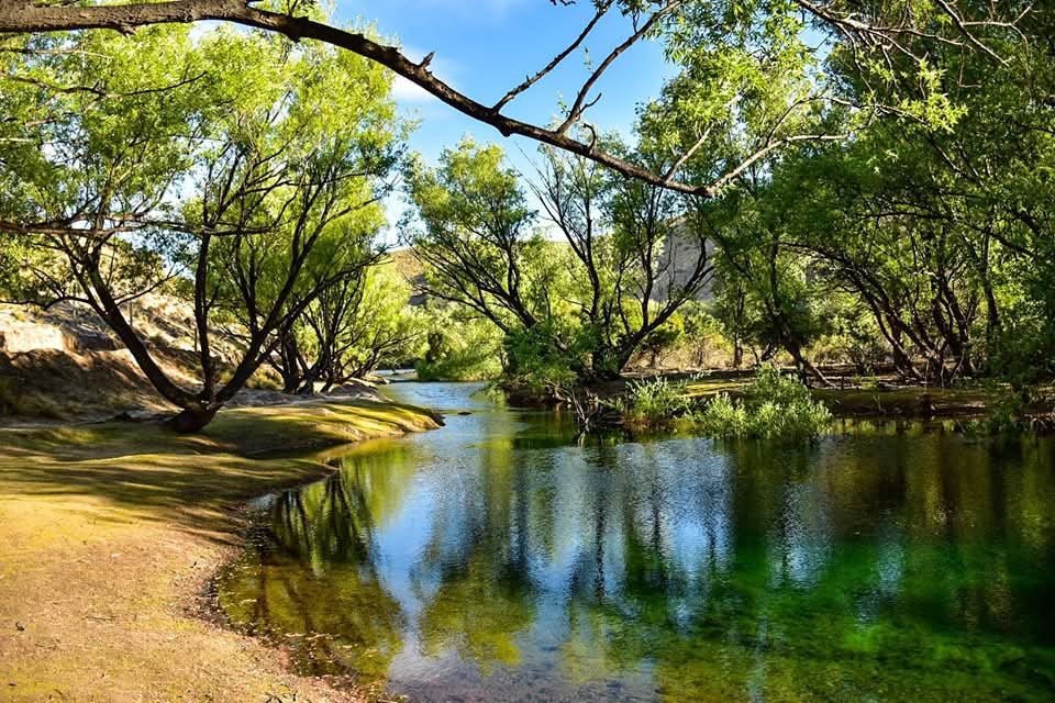 Huerta y quinchos del Agrocamping Rincón de Luz en Villa Llanquín